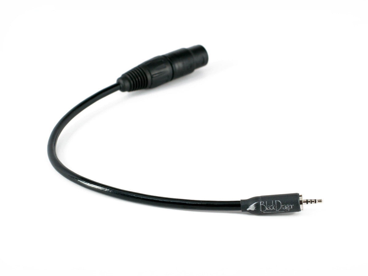 Black Dragon Headphone Adapter Cable