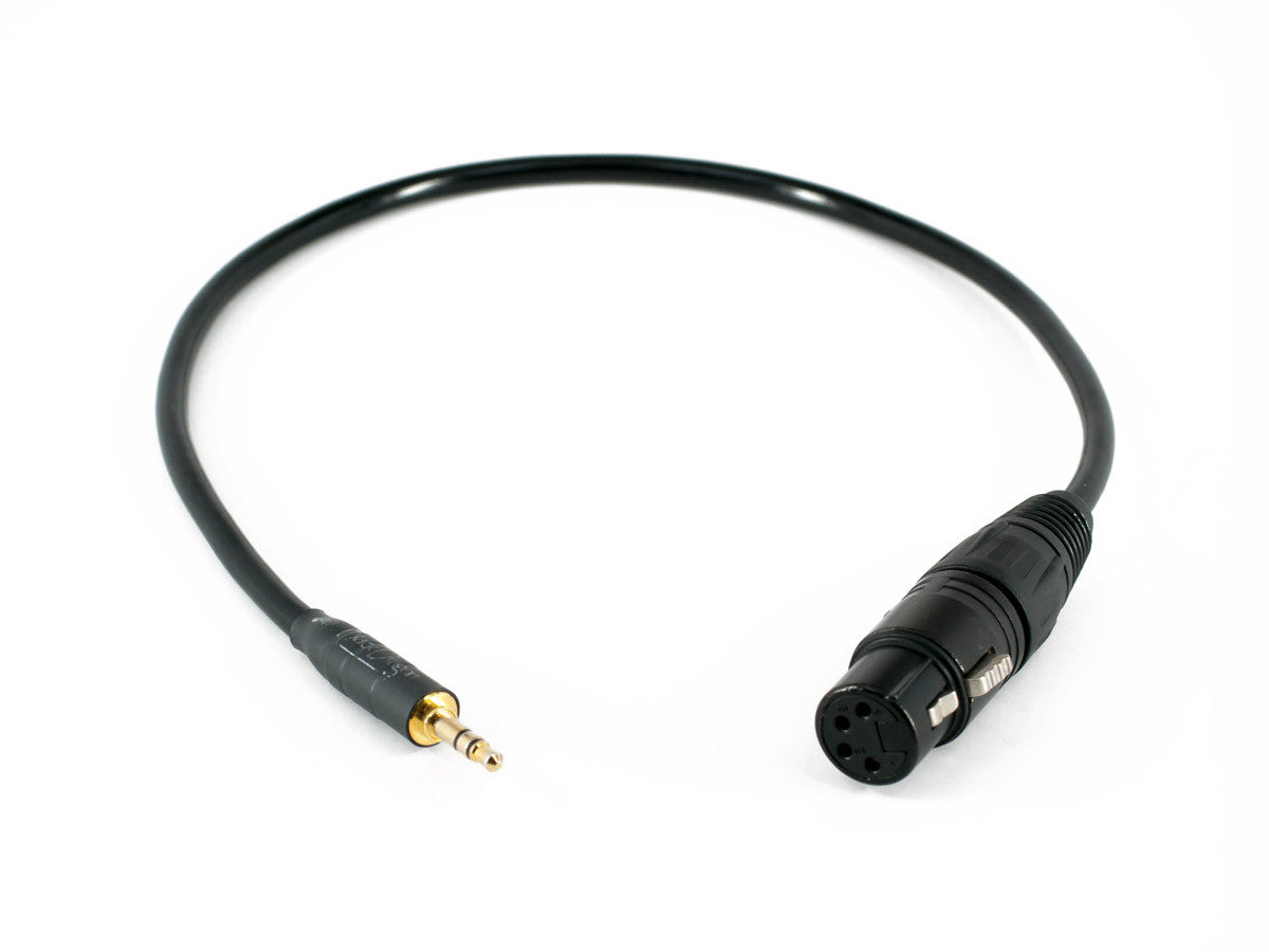 Black Dragon Headphone Adapter Cable