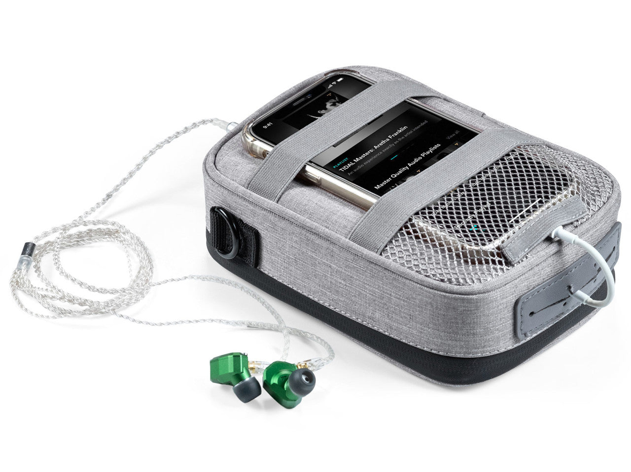 iFi iTraveller Case