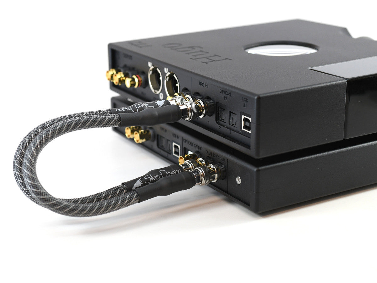 Silver Dragon Digital connecting Hugo TT2 and M Scaler
