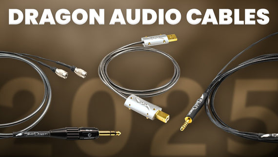 The Best Dragon Audio Cables of 2025