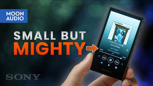 Sony Digital Media Player | NW-A306