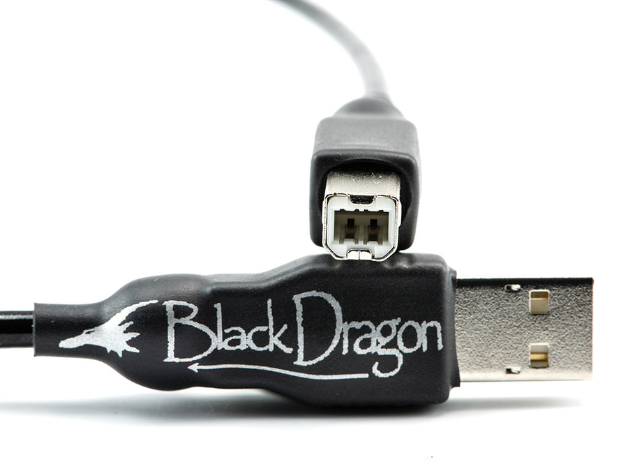 Black Dragon USB Cable | Moon Audio