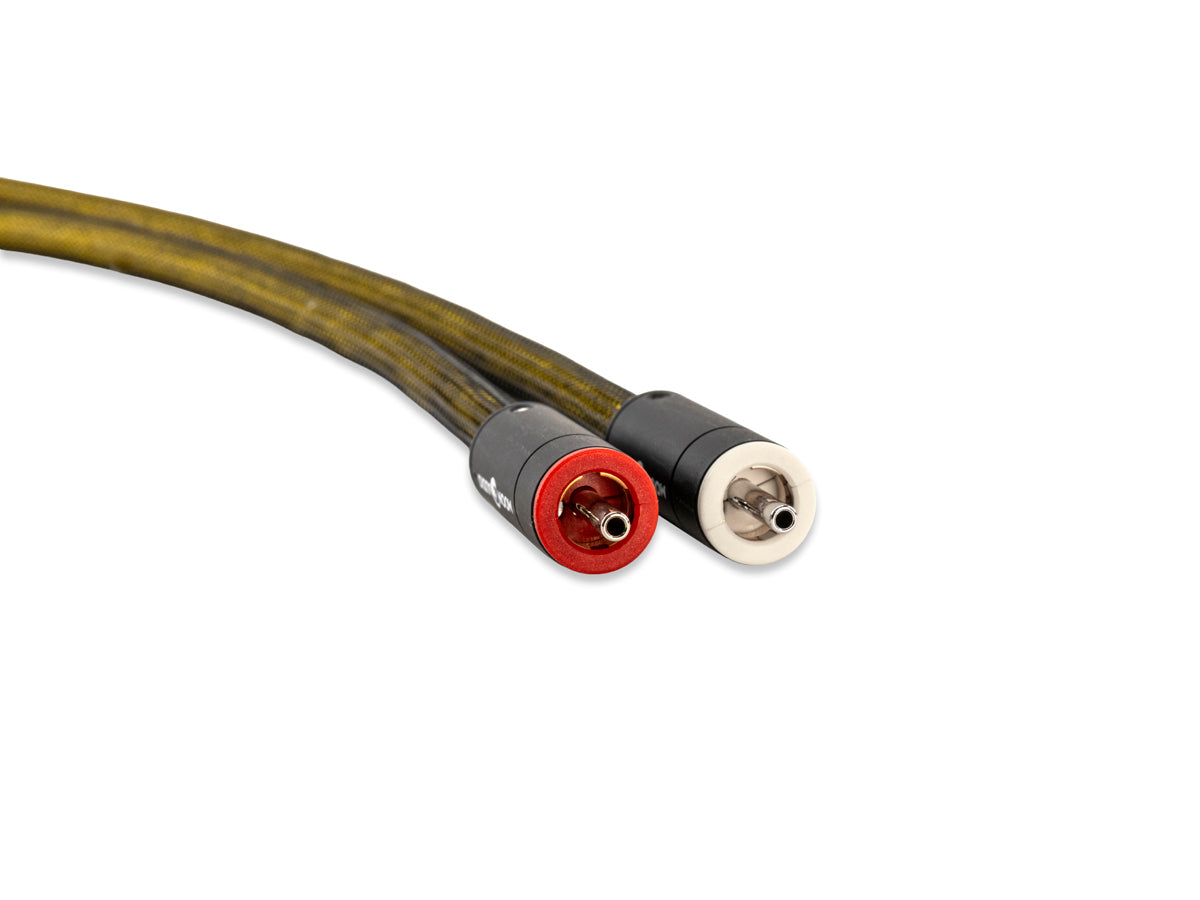 Moon Audio Gold Dragon Premium Interconnects | Moon Audio