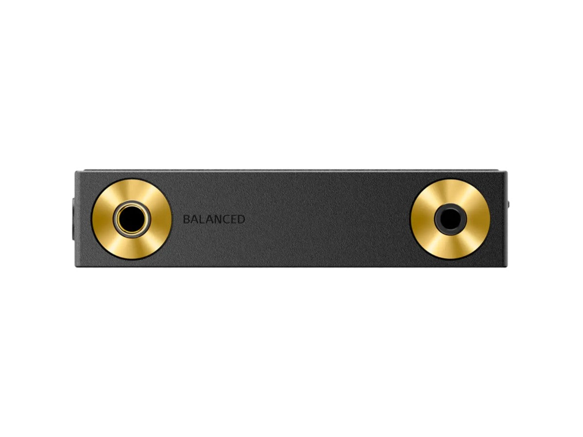 NW-ZX900 Walkman Digital Audio Player
