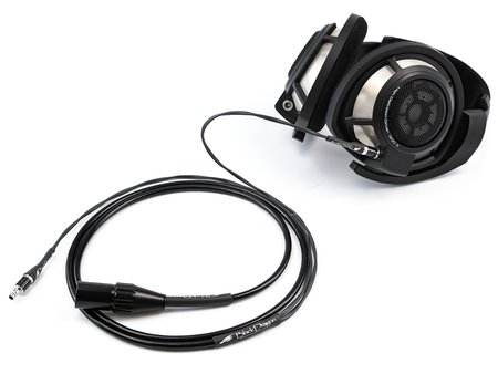 black-dragon-premium-