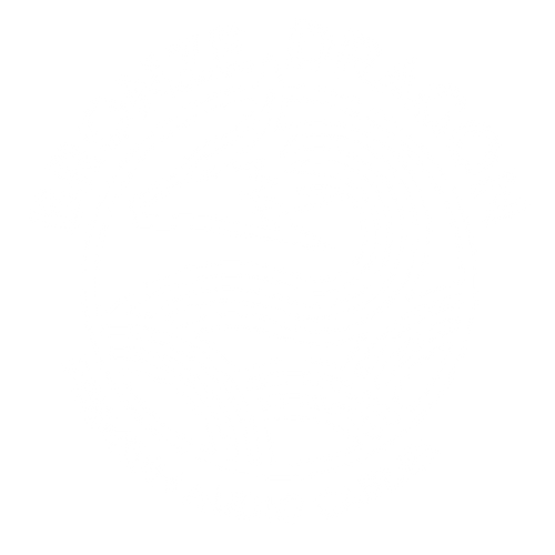 Bronze Dragon