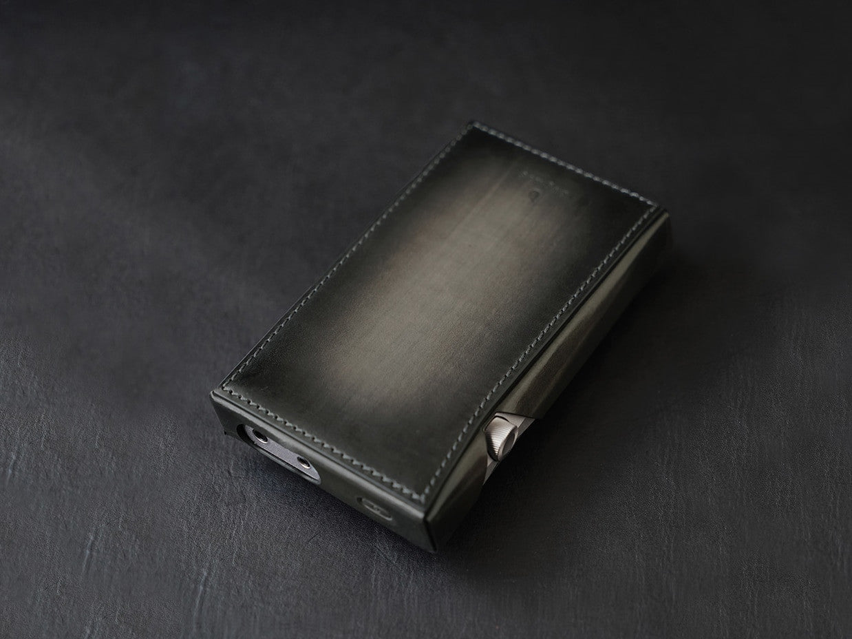 Dignis Leather Case for Astell & Kern SE100