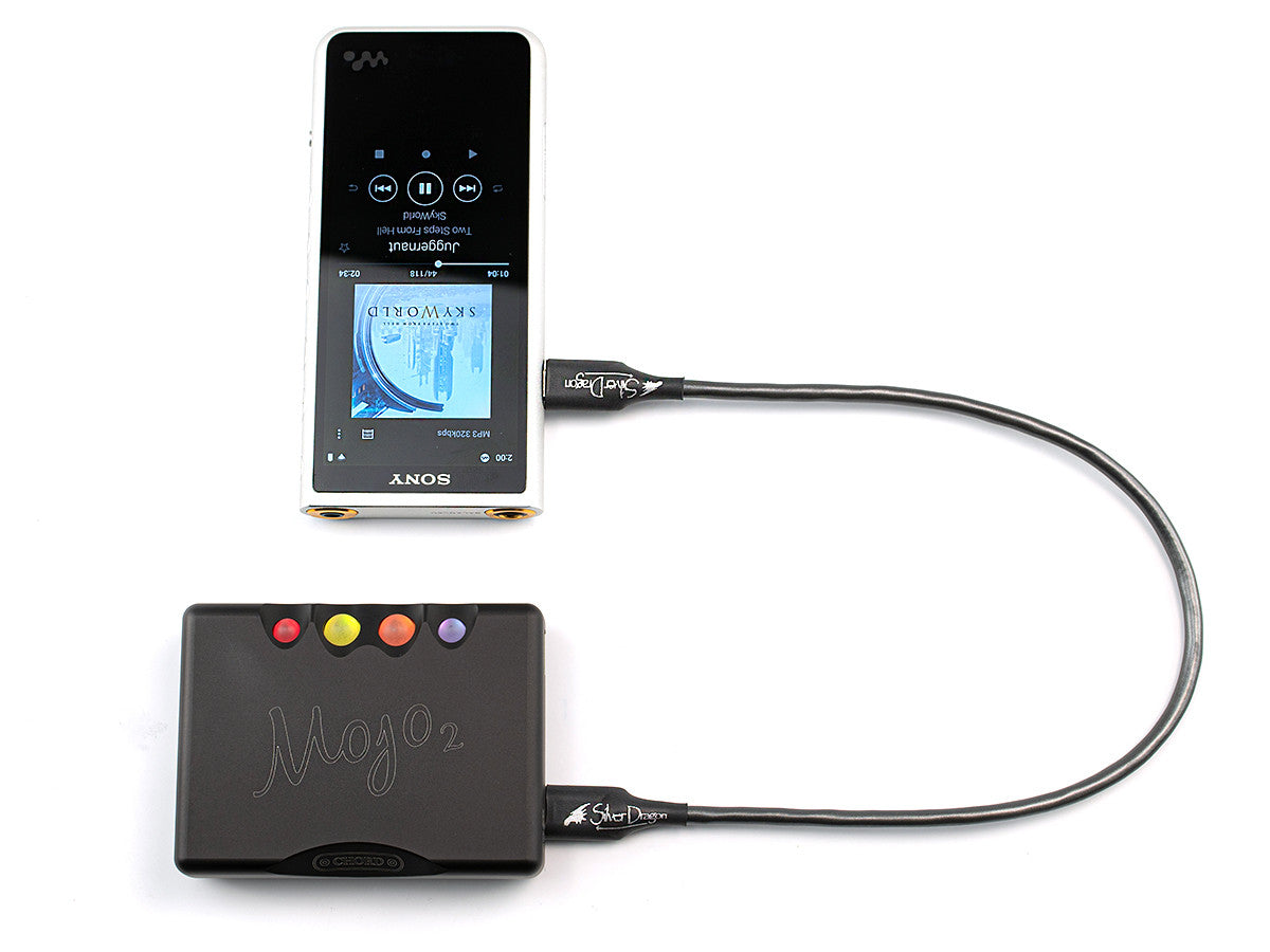 Silver Dragon USB Cable from Chord Mojo 2 to Sony NW-ZX507