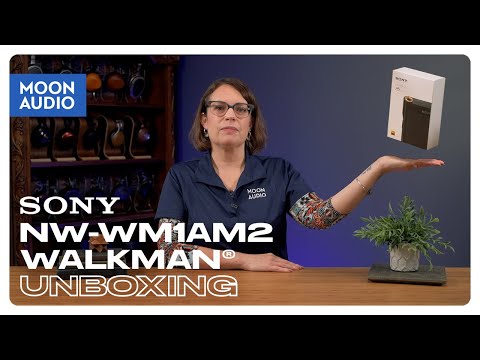 SONY デジタルオーディオプレーヤー NW-WM1AM2 NW-WM1AM2 | ポータブルオーディオプレーヤー WALKMAN