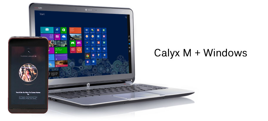 Windows and Calyx M